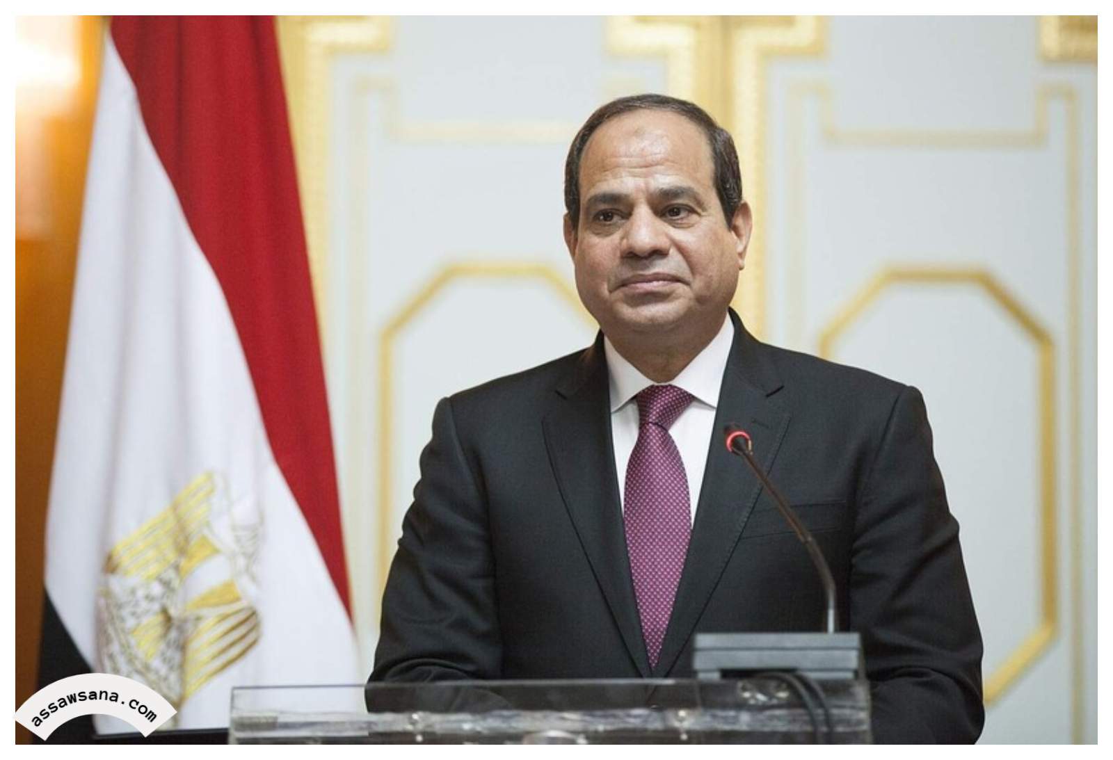 مصر تبذل جهودًا ثمينة للتهدئة ووقف الحرب مع الهند