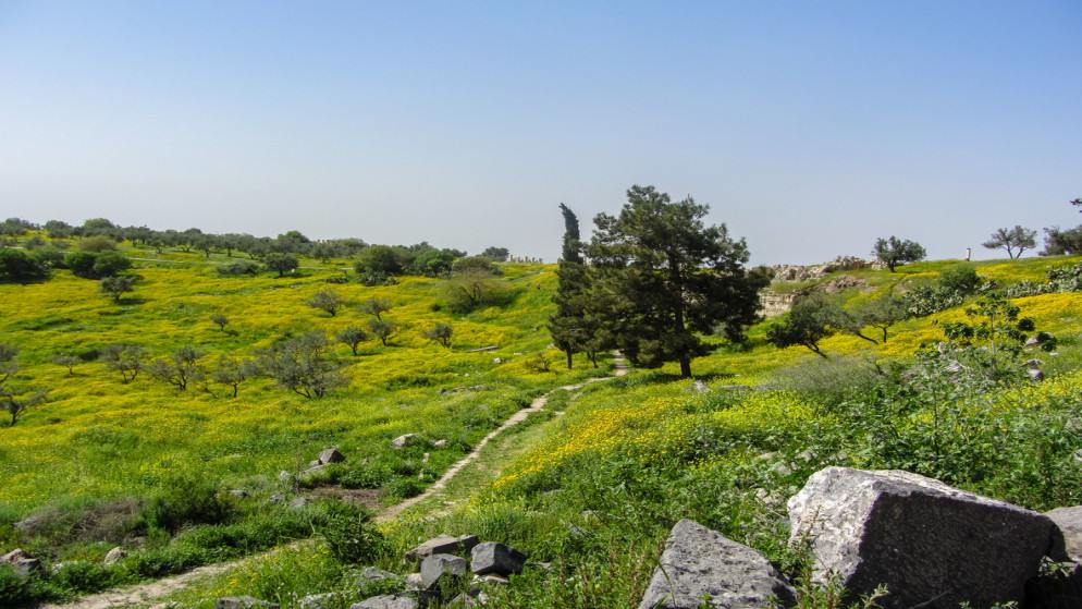 أجواء ربيعية وارتفاع ملموس في درجات الحرارة