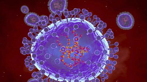 خبراء صحة يحذرون من فيروس تنفسي خطير قادم
