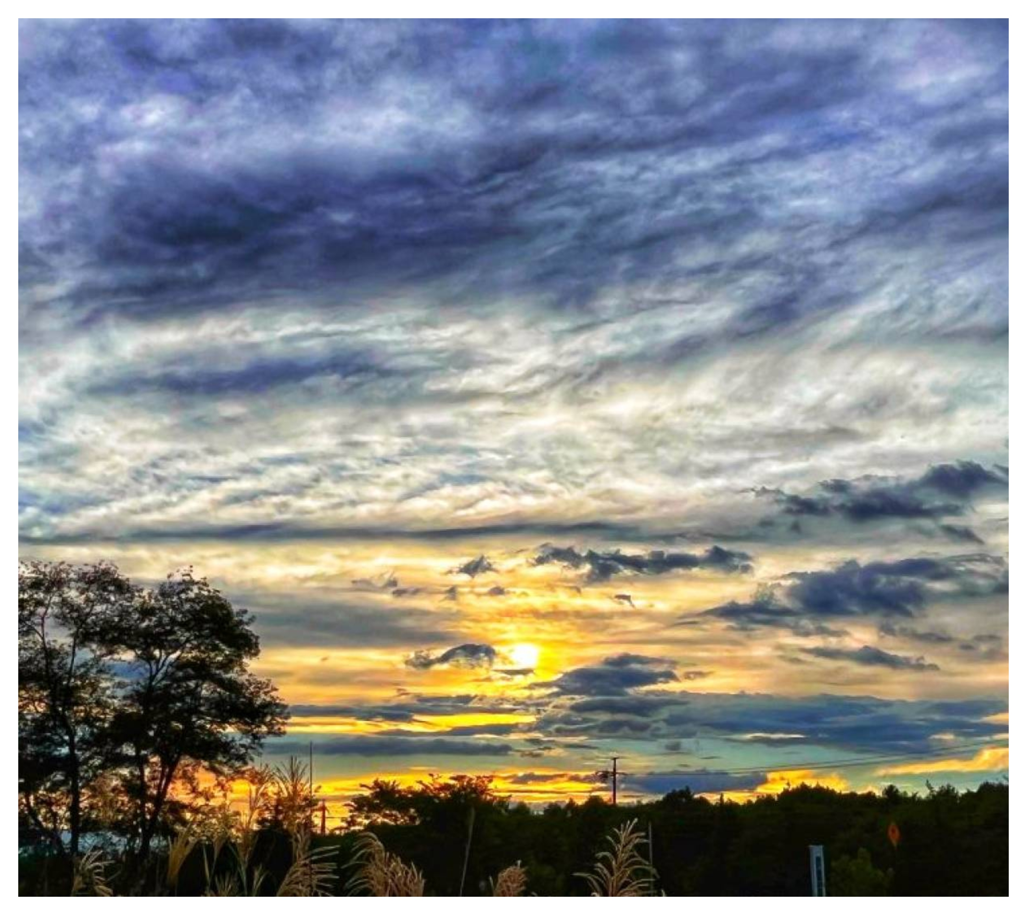 طقس دافئ ومغبر الأيام المقبلة … تفاصيل 