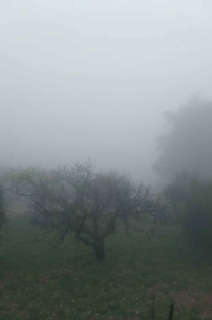 هطولات مطرية في هذه المناطق