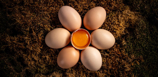 أفضل وقت لتناول البيض لإنقاص الوزن وبناء العضلات