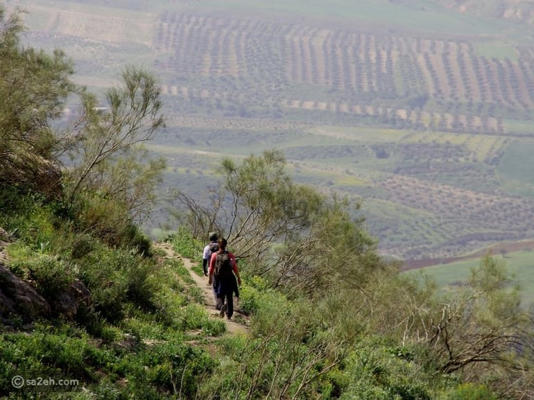 مسارات الهايكنج في الأردن