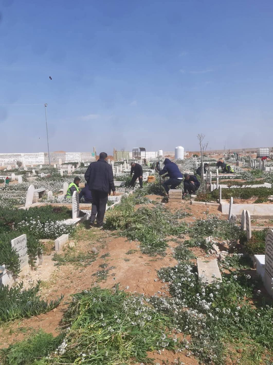 تنفيذ حملة صيانة في المقابر والحدائق بمأدبا