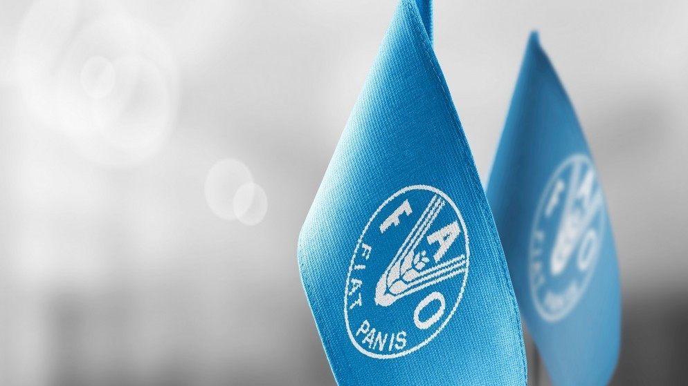 أسعار الغذاء العالمية تواصل ارتفاعها في آذار