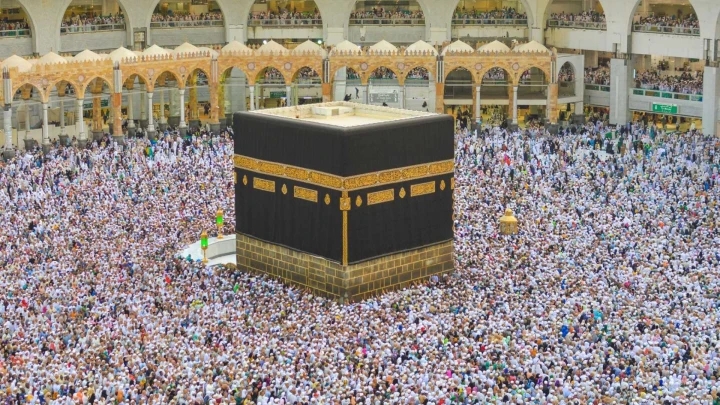 خلو حج 2026 من الأوبئة