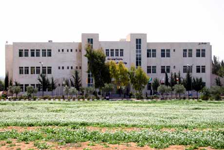  مقنع يهدد طالبة في الاسراء بذبح أخوالها ..  وطعن شاب في الكرك