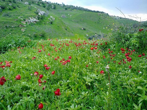  29 درجة الحرارة للأيام الثلاثة المقبلة