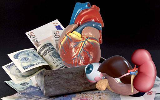 أردنيون يتاجرون بالأعضاء البشرية في مصر