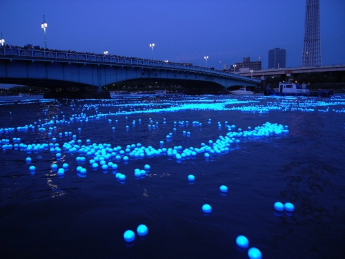  اليابانيون يضيئون نهر في طوكيو بمائة ألف مصباح - فيديو وصور