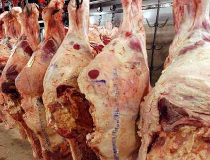  اتلاف 175 الف كغم من اللحوم في الربع الاول من العام الجاري 