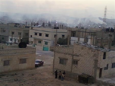 حشرات غريبة تغزو الهاشمية في الزرقاء 