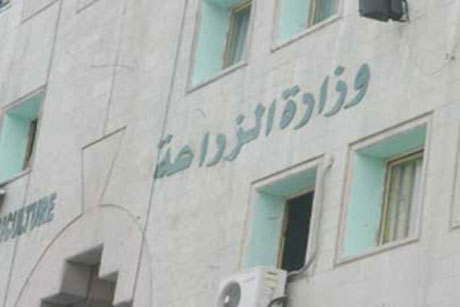 مهندسون يعتصمون امام وزارة الزراعة الثلاثاء
