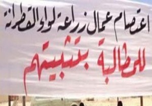 عمال زراعة عجلون يعتصمون للمطالبة بتثبيتهم