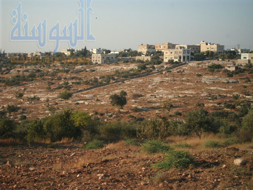 محمية اليرموك ترد