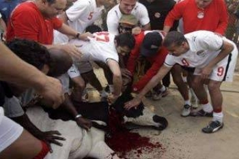 شكوى ضد قائد المنتخب المصري بتهمة قتل الأبقار بطريقة علنية