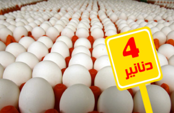 4 دنانير سعر طبق البيض