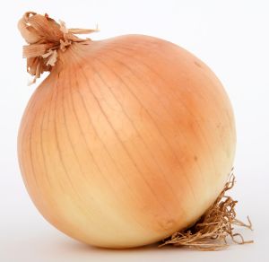تعليق استيراد البصل