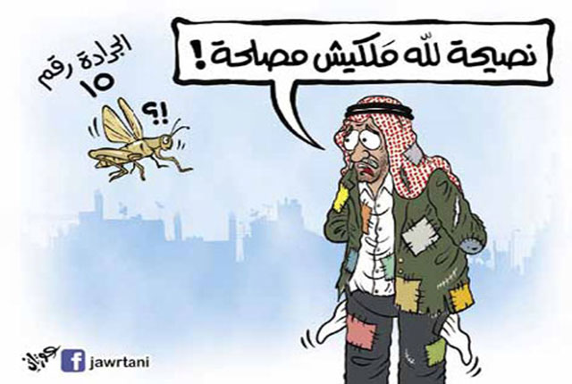 الجرادة رقم 15