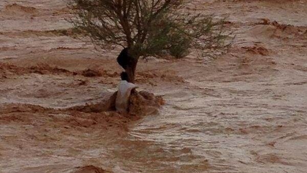 شجرة تنقذ سعوديين حاصرتهما السيول