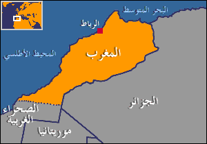 30 الف لسعة عقرب سنويا في المغرب