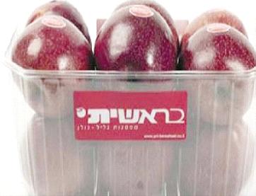 التفاح الاسرائيلي يغزو الاسواق الاردنية 