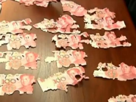 بالفيديو  ..  النمل يلتهم ثروة امرأة ويحولها إلى فتات