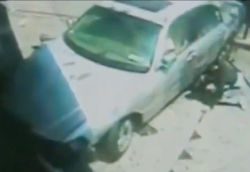 شاهدوا غريزة الأم  ..  سبحان الله