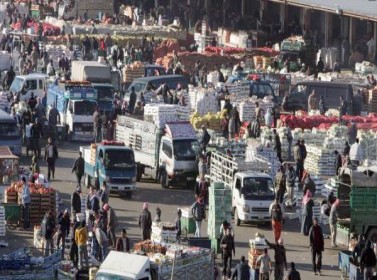 ارتفاع اسعار البندورة