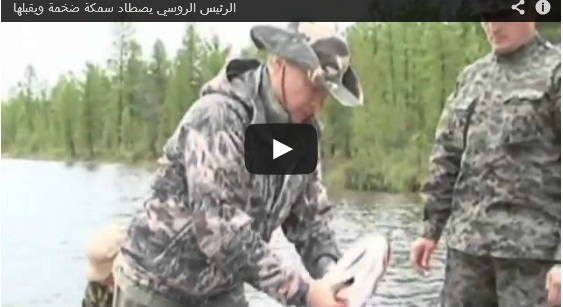 شاهد  ..  الرئيس الروسي يصطاد سمكة ضخمة ويقبلها