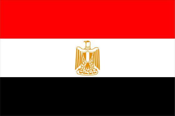 الرئاسة المصرية تنفي وجود صفقة مع الاخوان 
