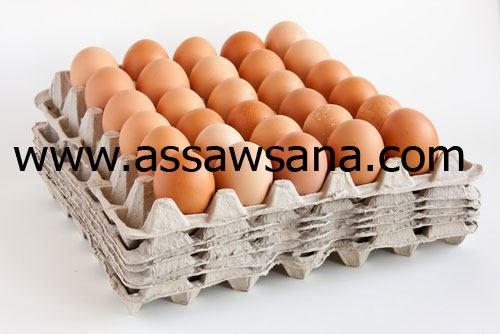 الحكومة تدرس استيراد البيض للحفاظ على اسعاره 