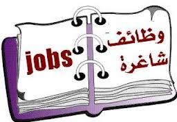 فرص عمل أعضاء هيئة تدريس جامعي 