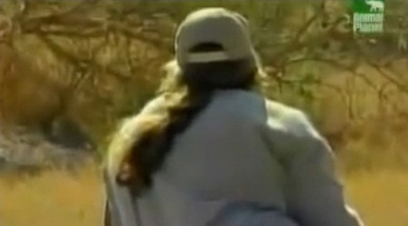 فيديو ..  رجل أعزل يوقف هجوم أسد عليه بذكاء بالغ
