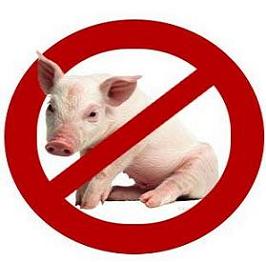 أول حالة بأنفلونزا الخنازير بإربد وشهود عيان يؤكدون لـ السوسنة وجود الخنازير في لواء القصر رغم الاعدامات