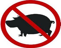 مدير صحة اربد يؤكد عدم اصابة شاب بانفلونزا الخنازير 