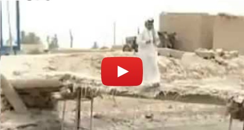 بالفيديو : سقوط مذيع في بركة ماء اثناء التصوير