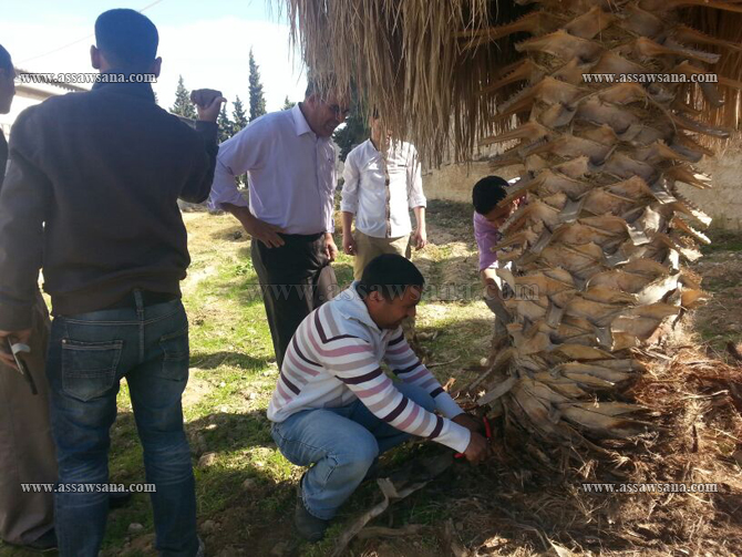 يوم تطوعي في زراعة  مؤتة‎   ..  صور