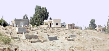 مزرعة للأبقار ومنازل وحدائق على مقبرة معدي بدير علا
