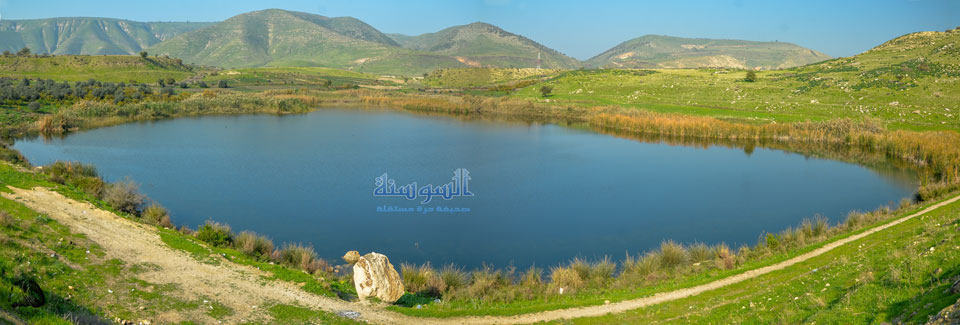 بركة العرائس في اربد