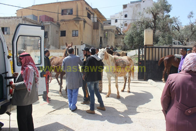 يوم بيطري طبي مجاني في كفرنجة‎ - صور