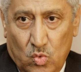 هيكلة كبيرة لمنزل النسور