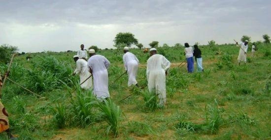 الاردن يستثمر اراض زراعية في السودان 
