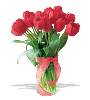 تهنئة لـ حمزة الخزاعلة