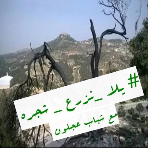 عجلون : اطلاق حملة يلا نزرع شجرة