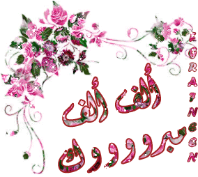 حفل زفاف مفلح النعيمات و بثينة النعيمات  