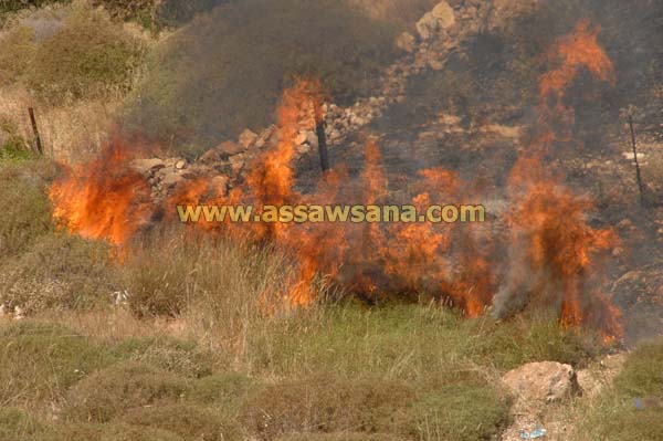 دورة تدريبية عن الحرائق في عجلون‎