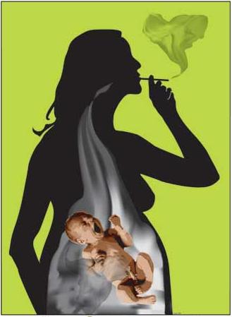 وزن اطفال المدخنات اقل من المعدل الطبيعي بحوالي 450 غم 