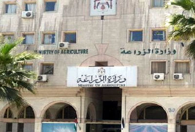 الزراعة تنصح  .. 