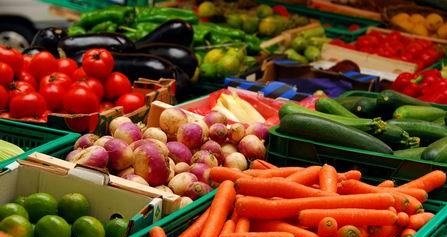 ارتفاع كميات الانتاج النباتي 6 بالمئة عام 2013